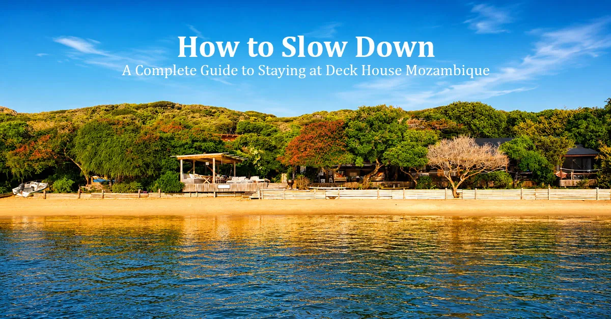 How-to-Slow-Down-1